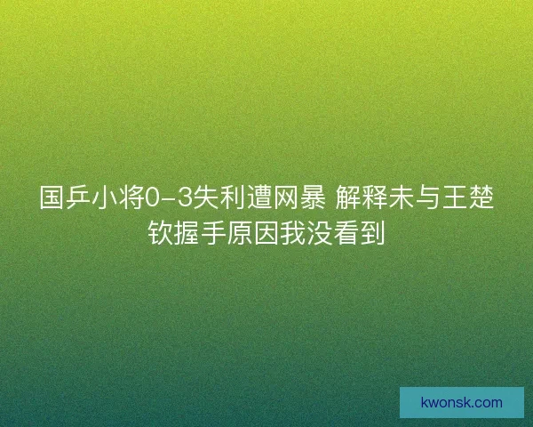 国乒小将0-3失利遭网暴 解释未与王楚钦握手原因我没看到